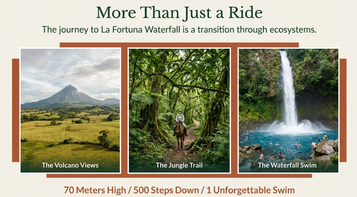 Overview of the La Fortuna Waterfall horseback ride journey — volcano views, jungle trail, and waterfall swim