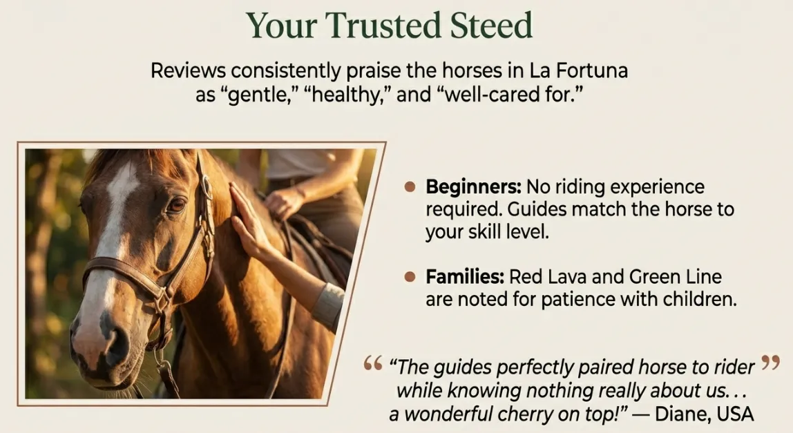 Gentle horse at a La Fortuna horseback riding experience — beginner-friendly and family-safe