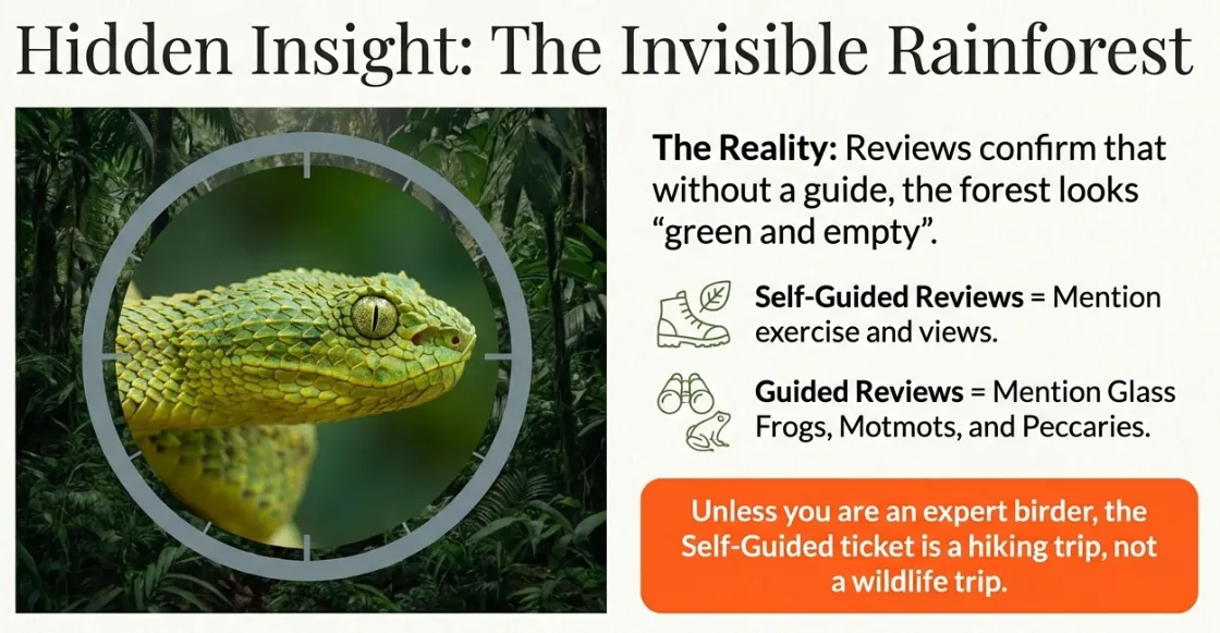 The invisible rainforest insight: self-guided reviews mention exercise and views; guided reviews mention glass frogs, motmots, and peccaries — without a guide, the forest looks green and empty