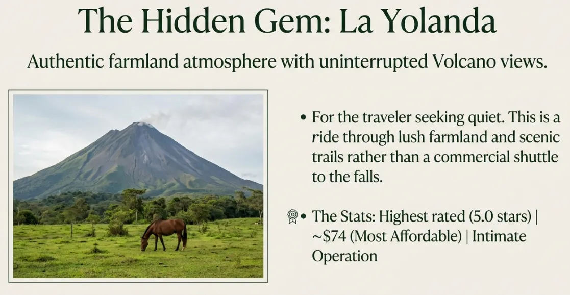 La Yolanda horseback ride in Costa Rica — horse grazing in farmland with Arenal Volcano in background