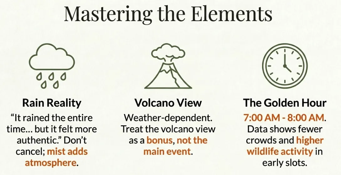 Mastering the elements at Mistico: rain adds atmosphere not misery, Arenal Volcano views are a bonus not the main event, and 7–8 AM golden hour has the highest wildlife activity